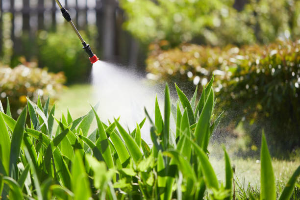 24/7 Emergency Mosquito Control experts in Kosciusko, MS