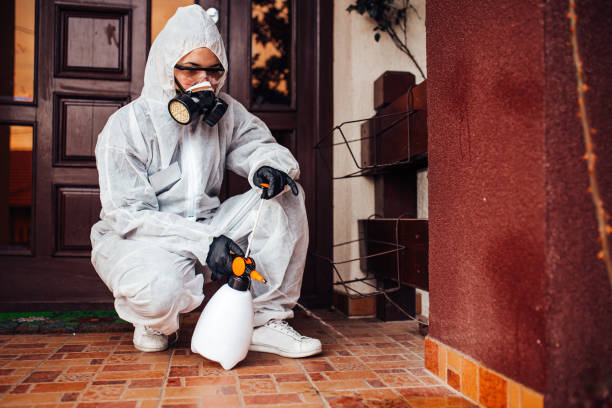 Reliable Mosquito Control contractor in Kosciusko, MS by Show Me Pest Control